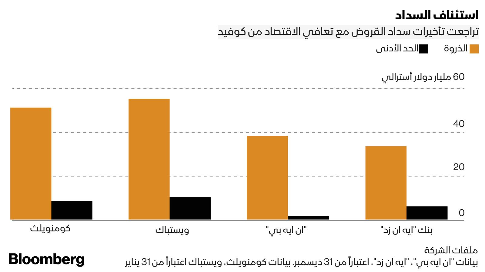 ملفات الشركة