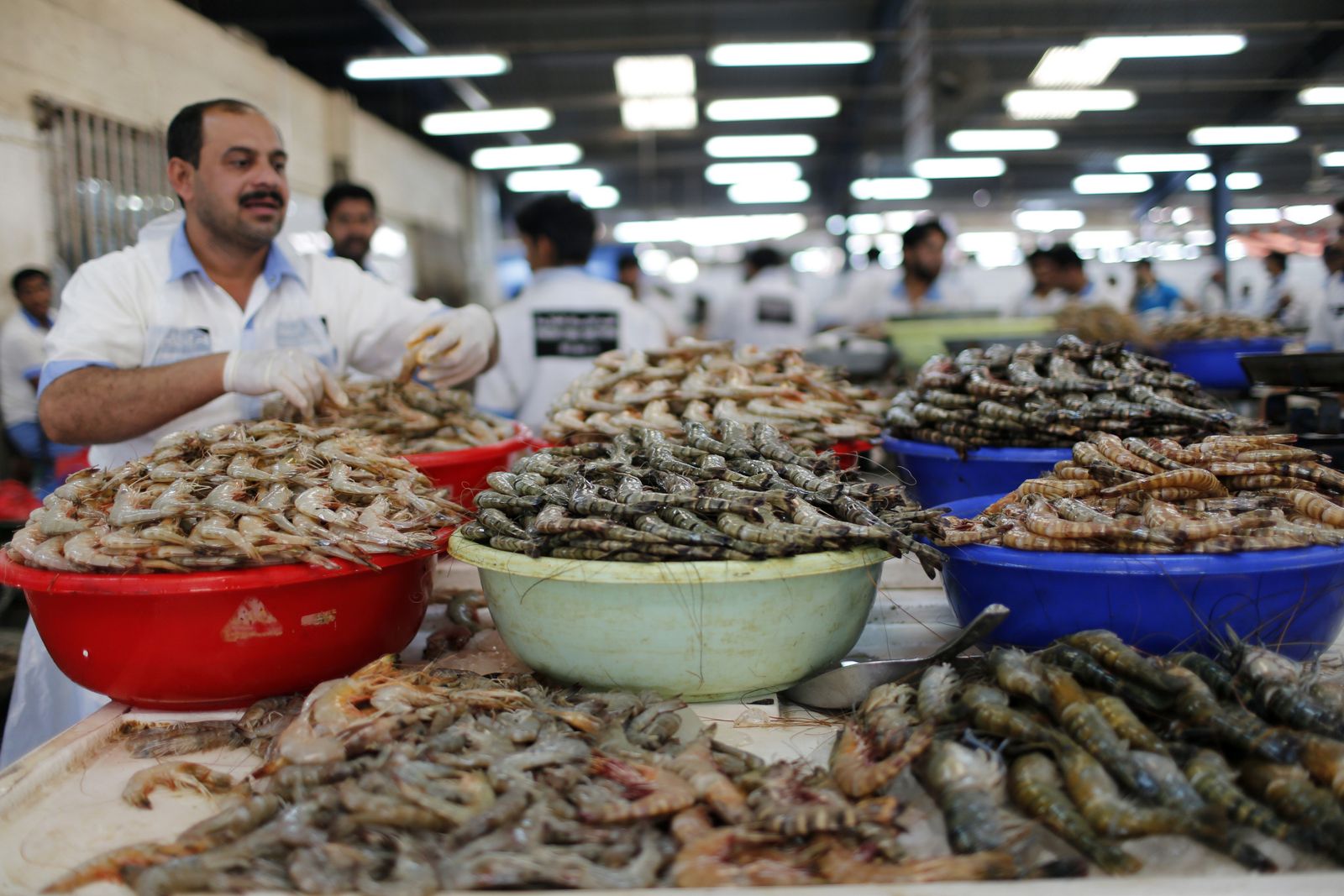 المصدر: رويترز