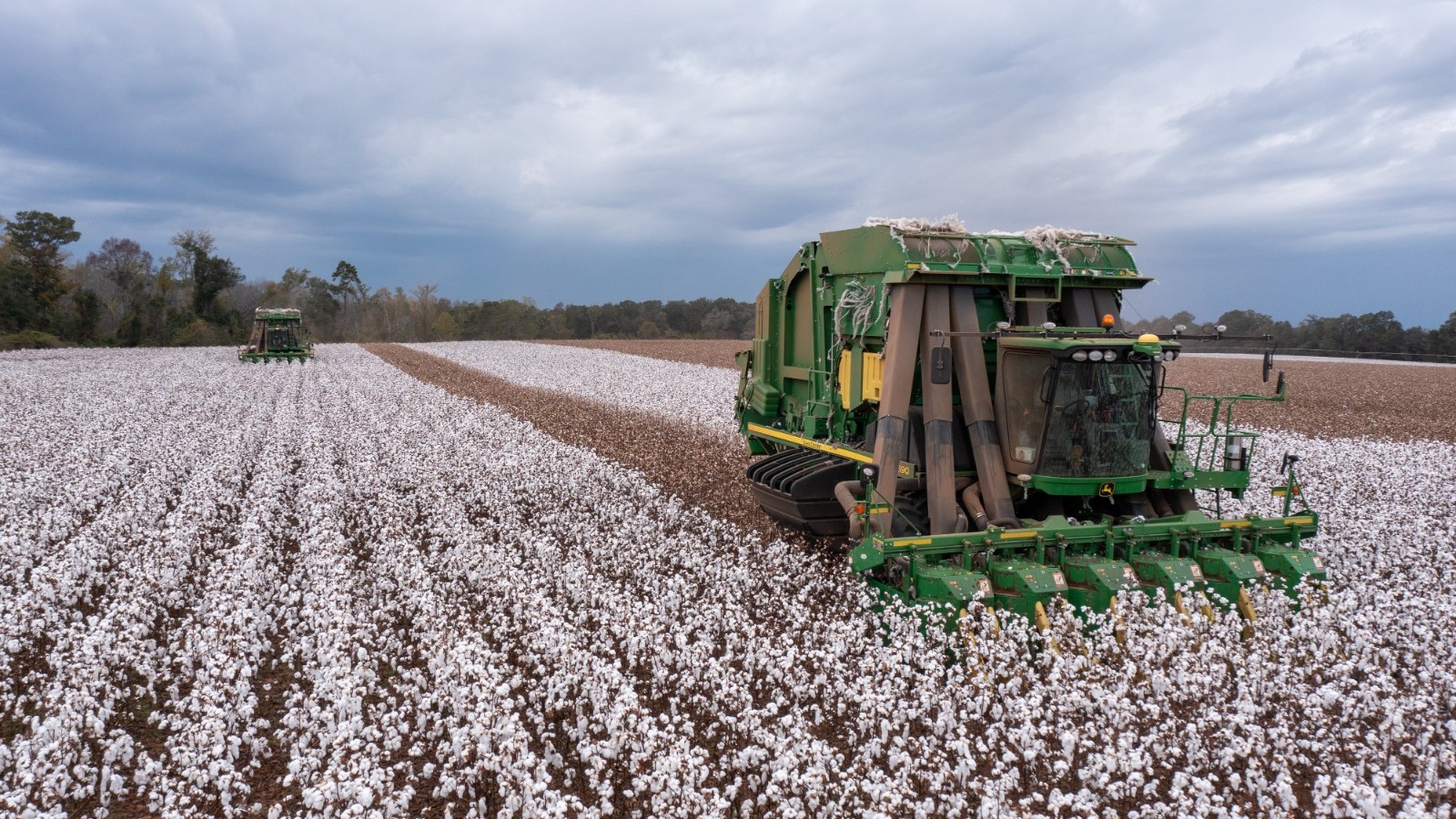 واشنطن تكشف تفاصيل حزمة بـ12 مليار دولار لمساعدة المزارعين 