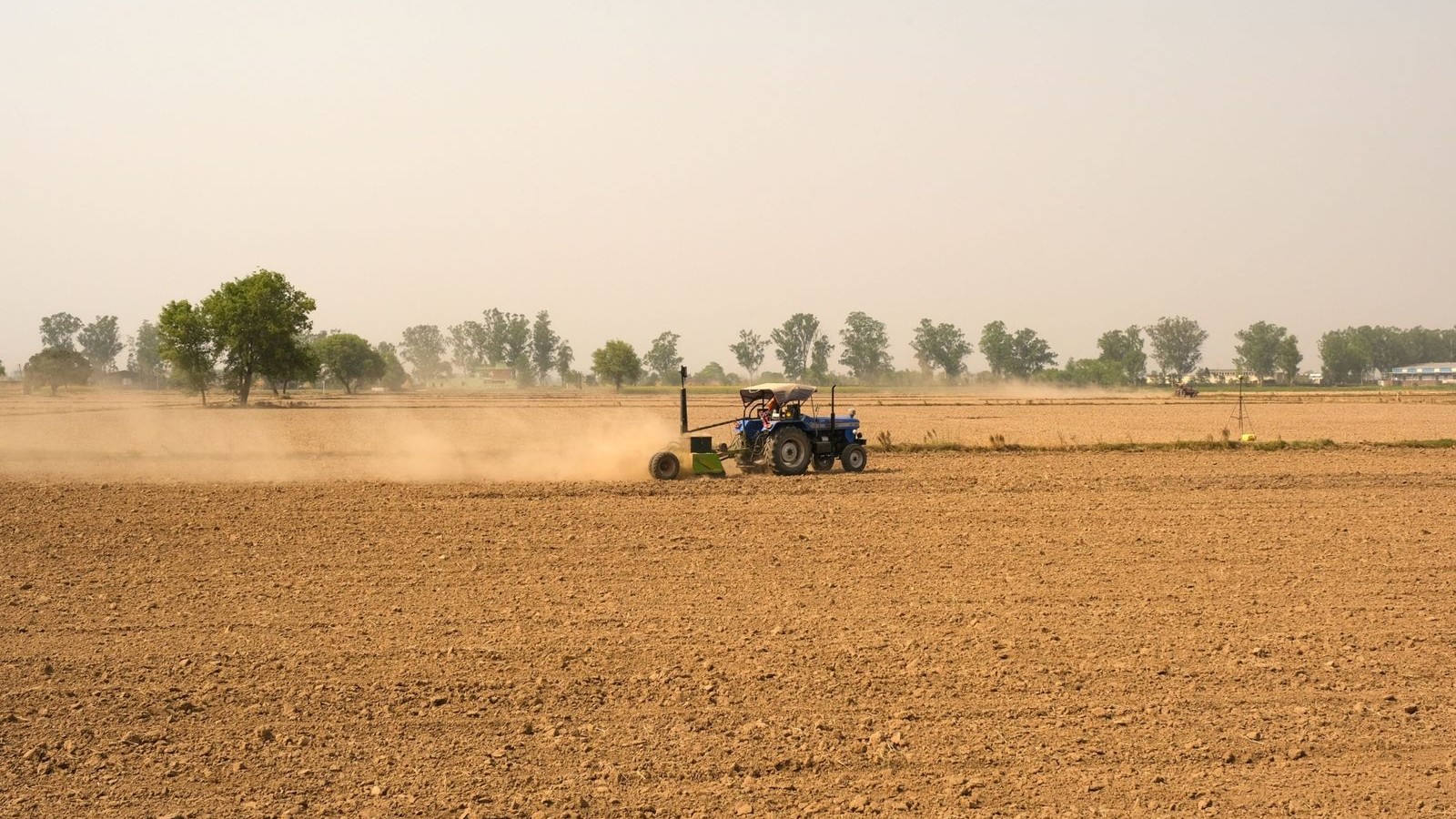 الهند تسمح بتصدير بعض منتجات القمح بعد حظر استمر ثلاث سنوات 