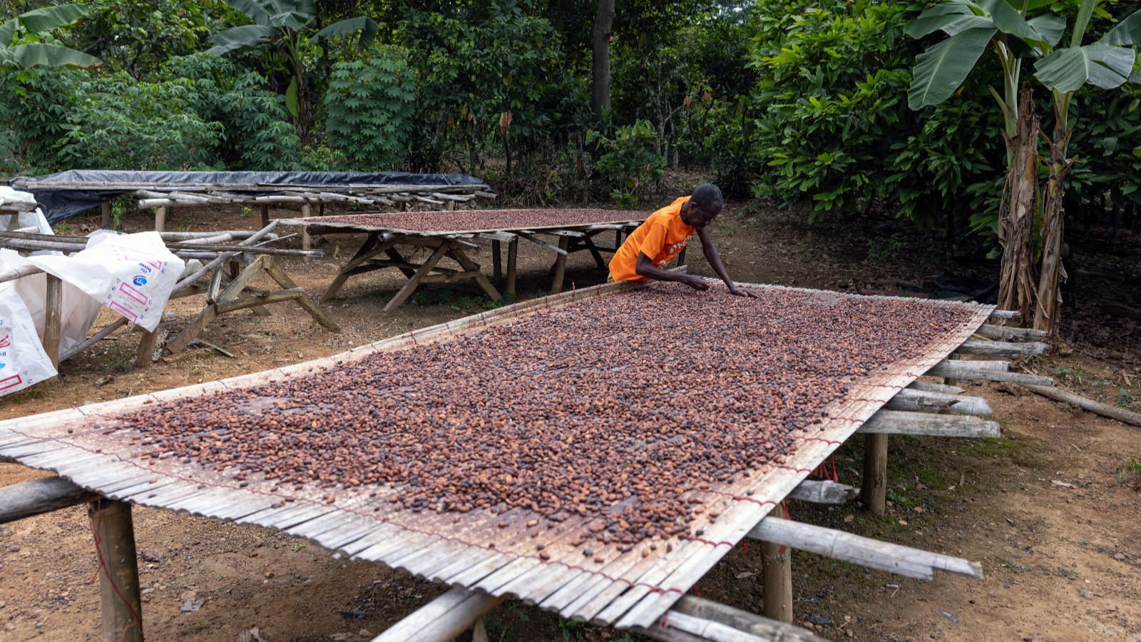 شركة مقرها دبي تضخ مليار ونصف بالذكاء الاصطناعي والزراعة بأفريقيا 