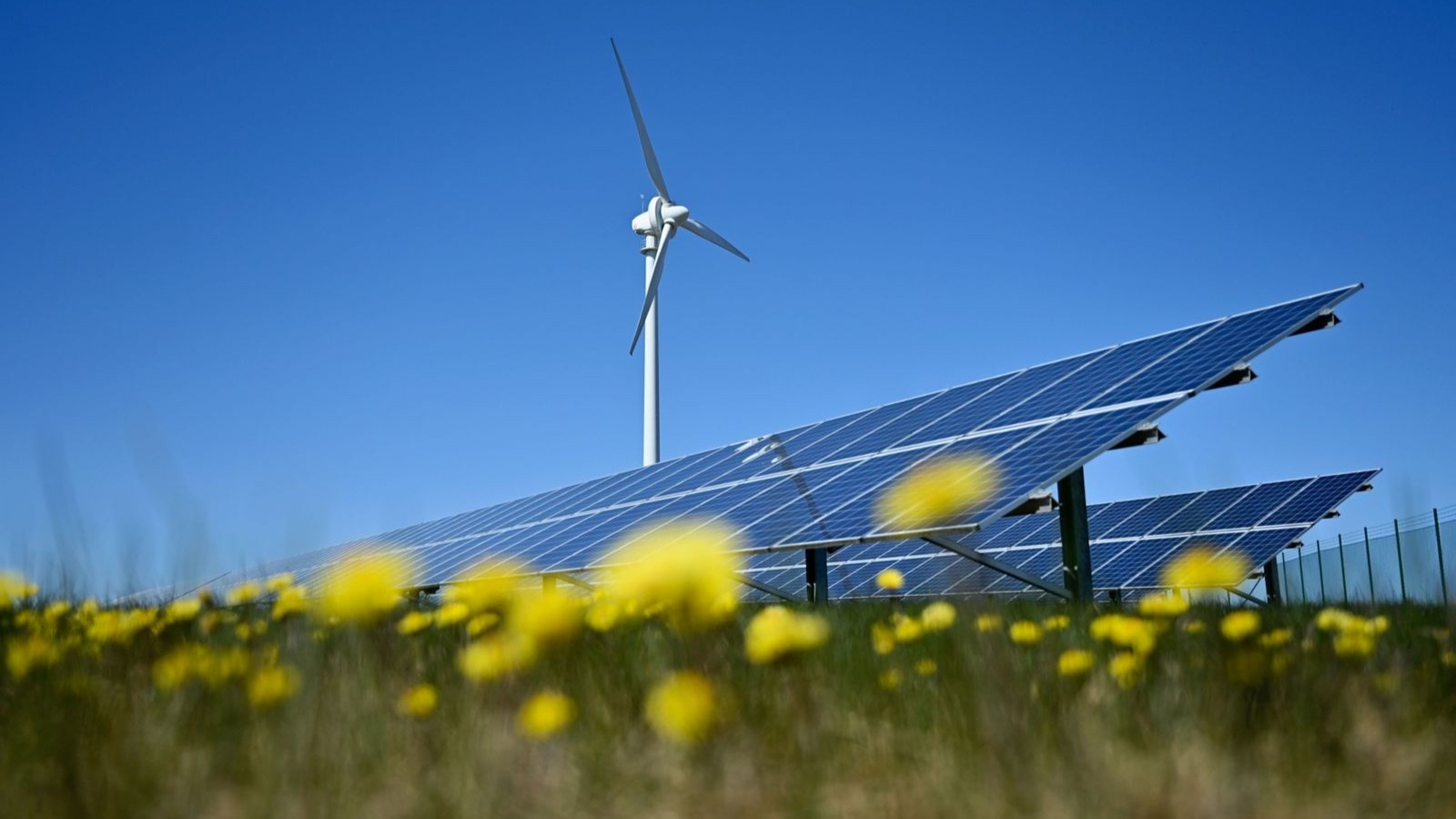 تركيا تعتزم توقيع اتفاق لإنشاء محطة طاقة شمسية في الخليج 