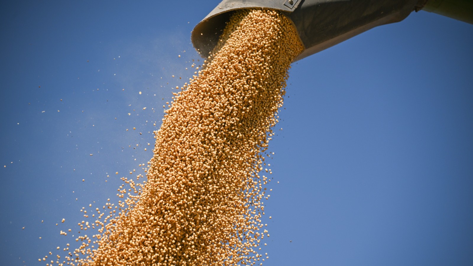 الصين تشتري 12 مليون طن من فول الصويا الأميركي وفاء لتعهداتها 