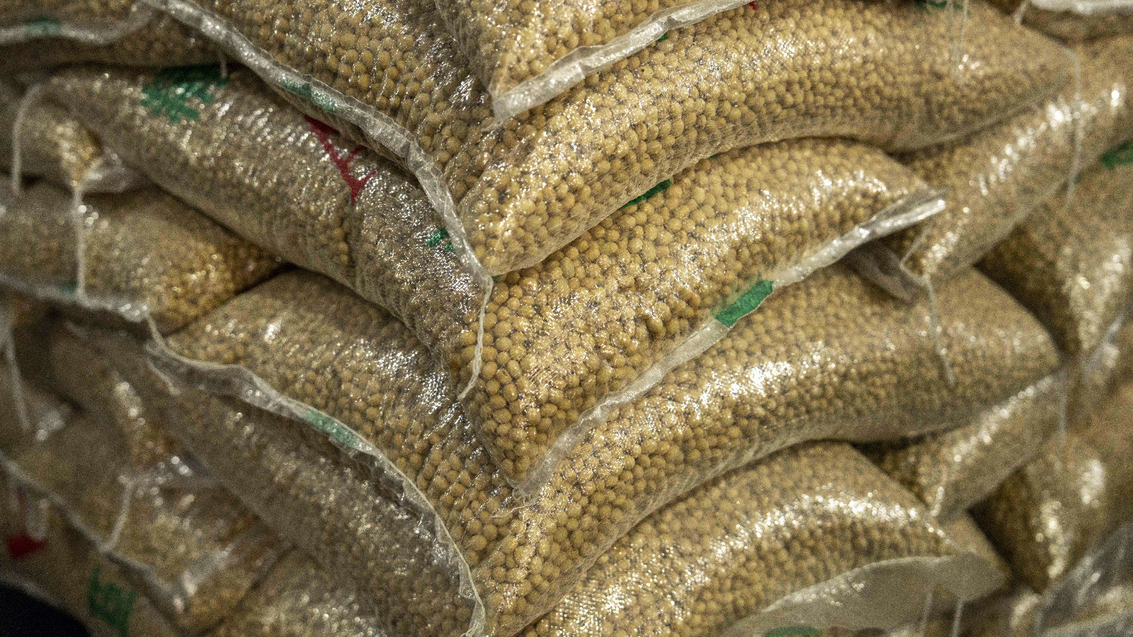 الصين تستخدم ورقة فول الصويا لاكتساب ميزة تجارية أمام أميركا 