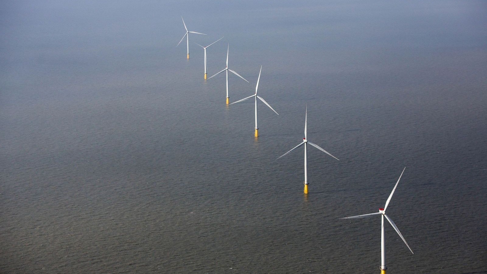 مصر بصدد تطوير أكبر خط لربط طاقة الرياح في خليج السويس 