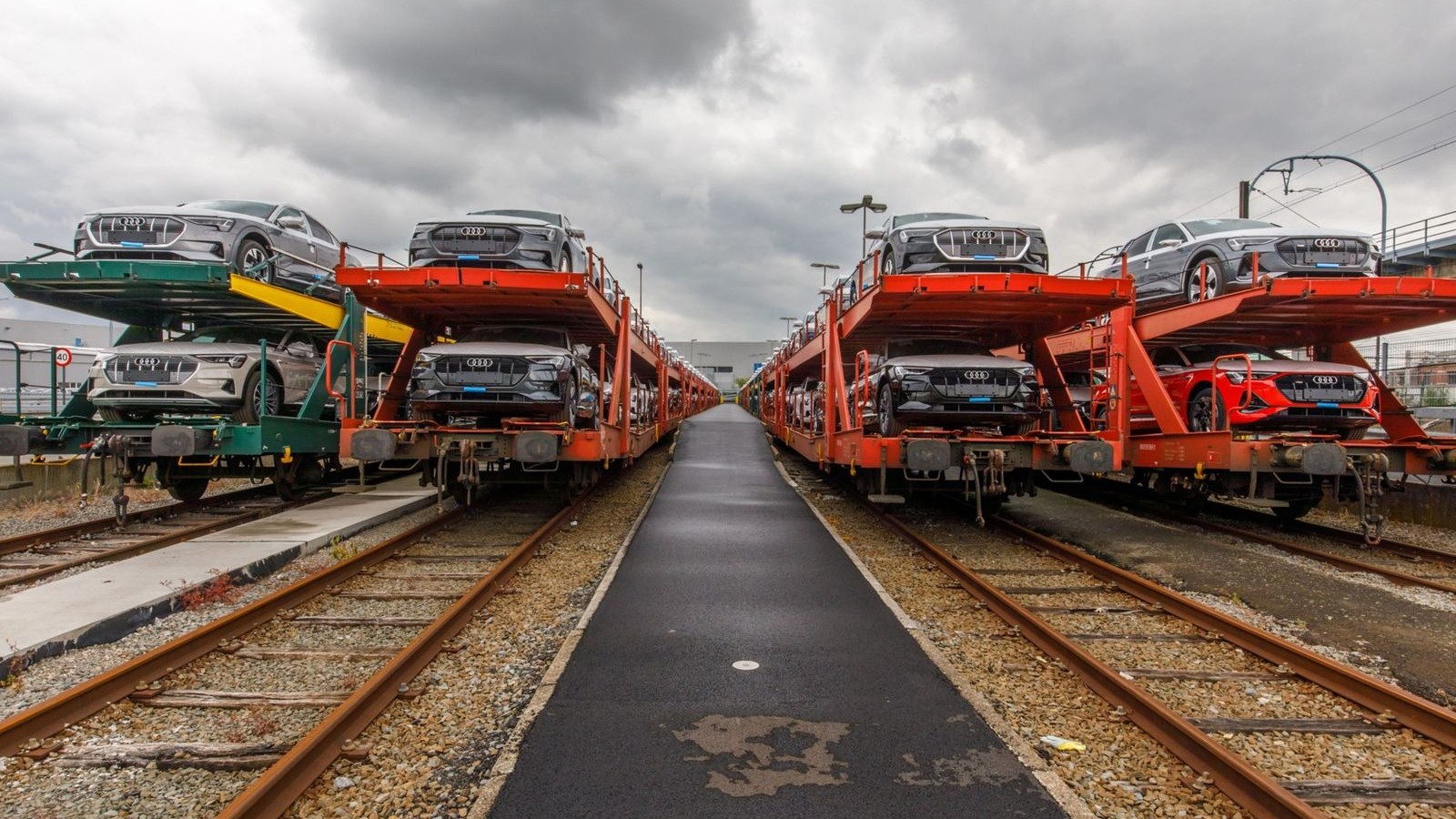 مصر تجمع 7.2 مليار جنيه من ملاك سيارات ذوي الهمم غير المستحقين 