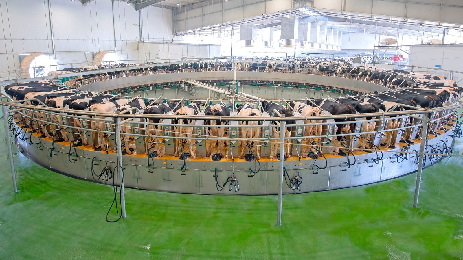 quot;بلدنا الجزائرquot; توقع عقوداً بـ635 مليون دولار لتسريع أكبر مشروع لإنتاج الحليب في البلاد 