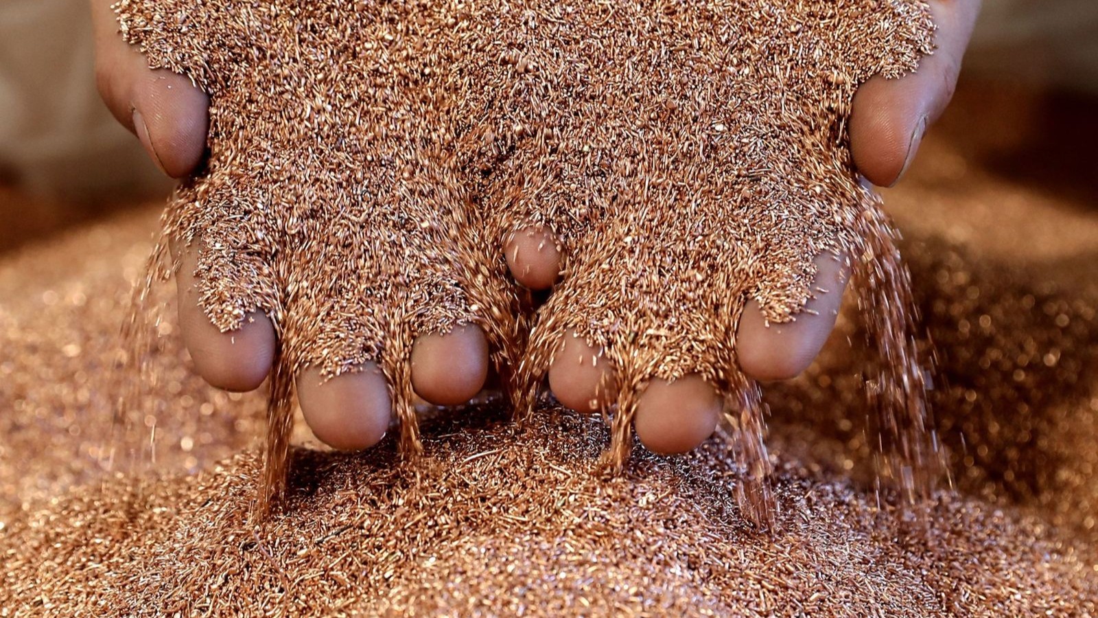 هبوط أسعار المعادن الأساسية بقيادة النحاس مع استقرار الدولار 