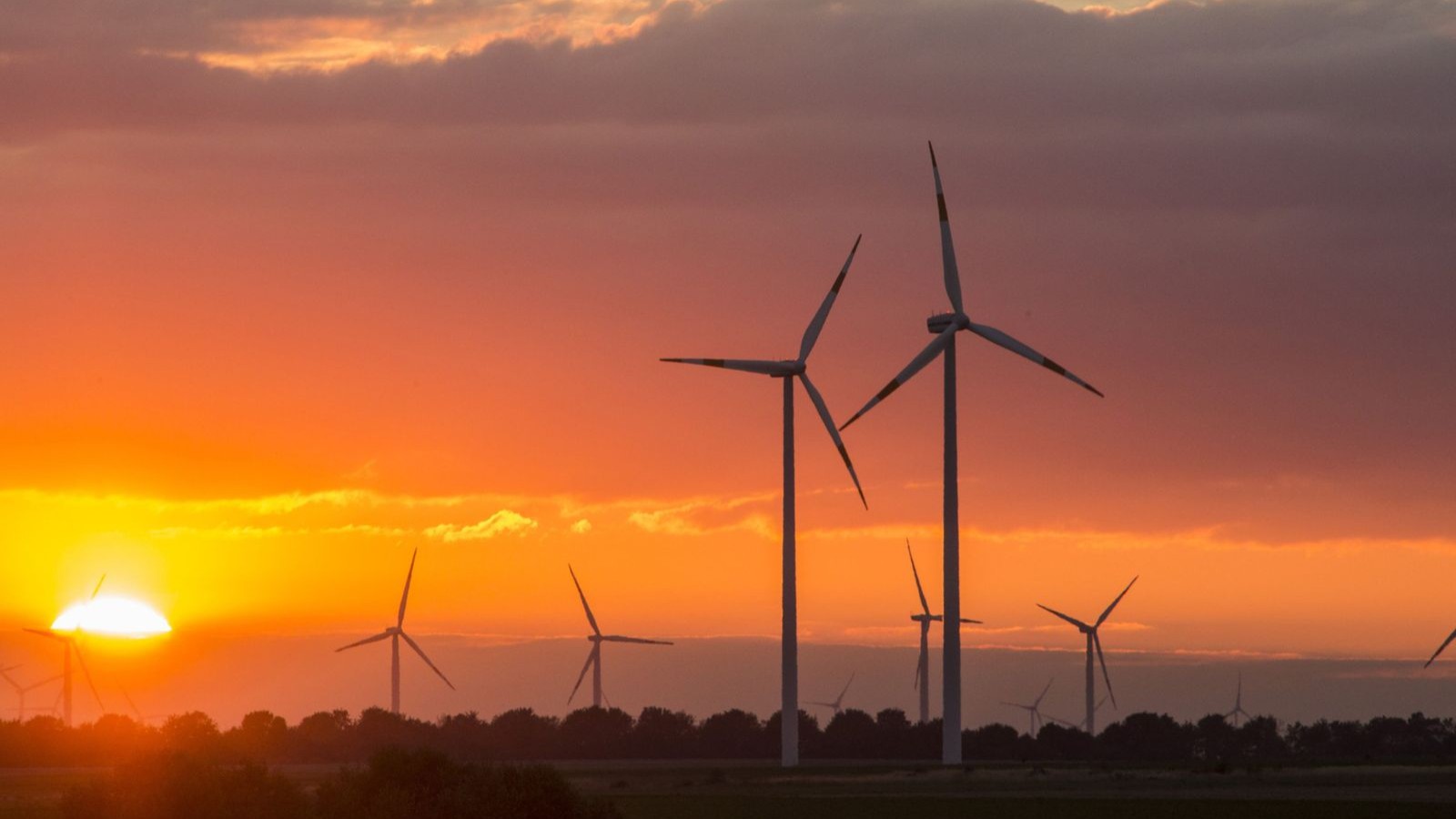 مصر تتلقى عرضاً للاستحواذ على محطة رياح جبل الزيت مقابل 416 مليون دولار 