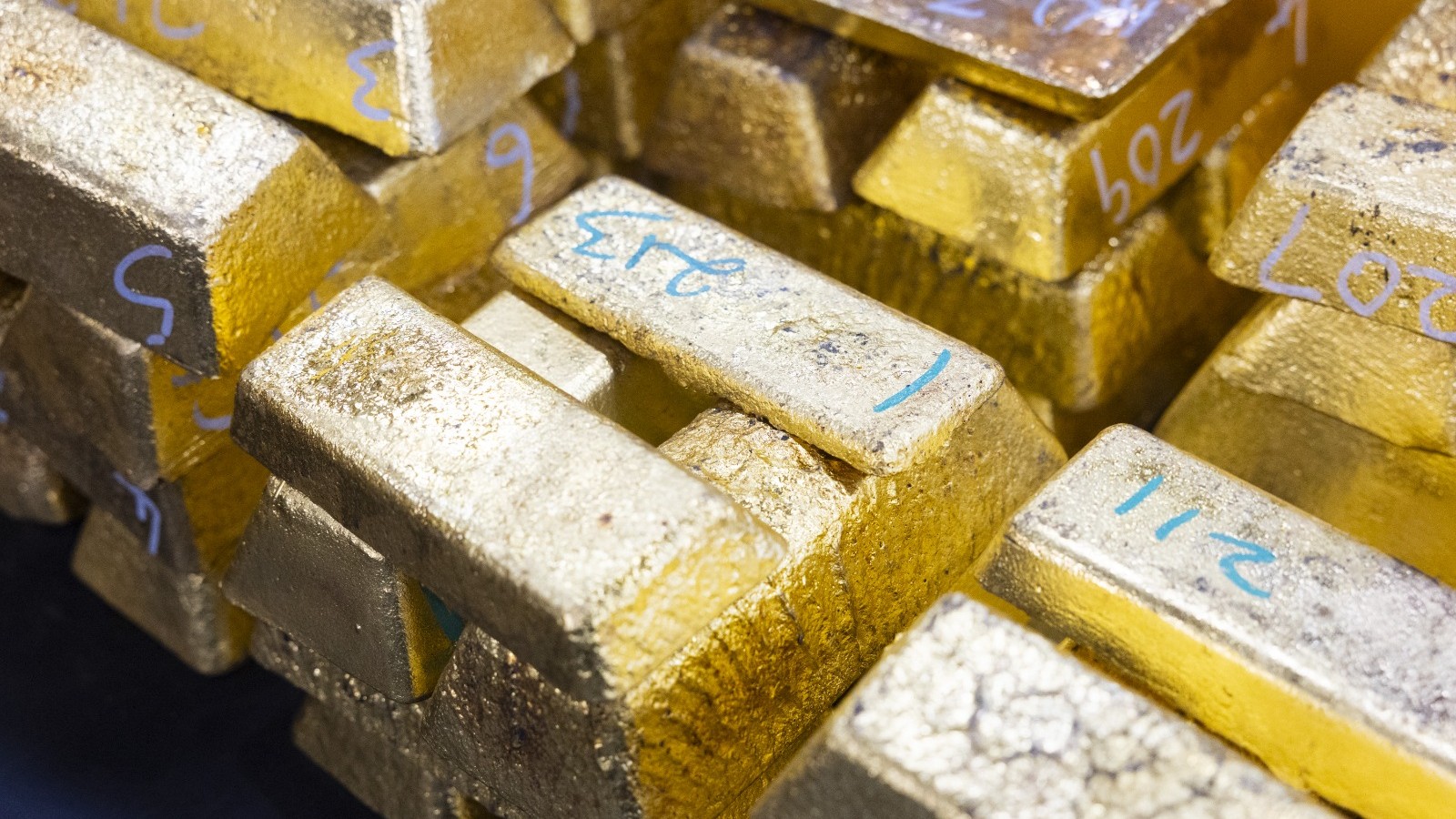 سعر الذهب يستقر مع تراجع توقعات رفع أسعار الفائدة بعد تصريحات وارش 