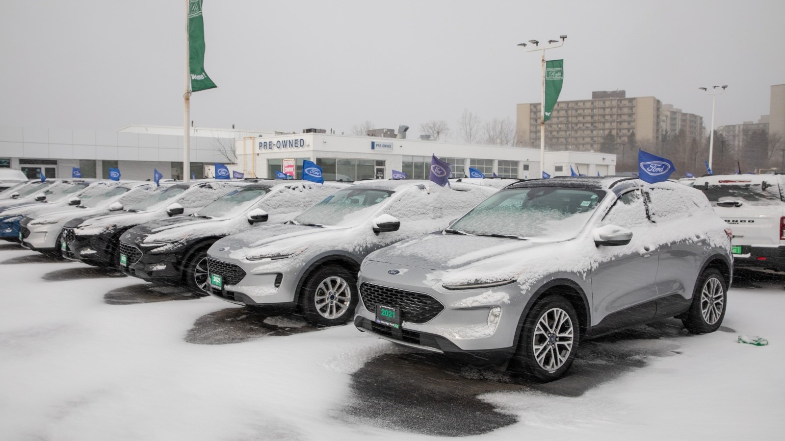 quot;فوردquot; تخسر مركزها في مبيعات السيارات العالمية بدفعة من quot;بي واي ديquot; 