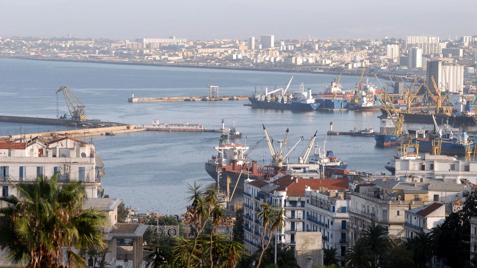 طموحات الجزائر لعام 2026 متفائلة رغم تراجع إيرادات النفط 