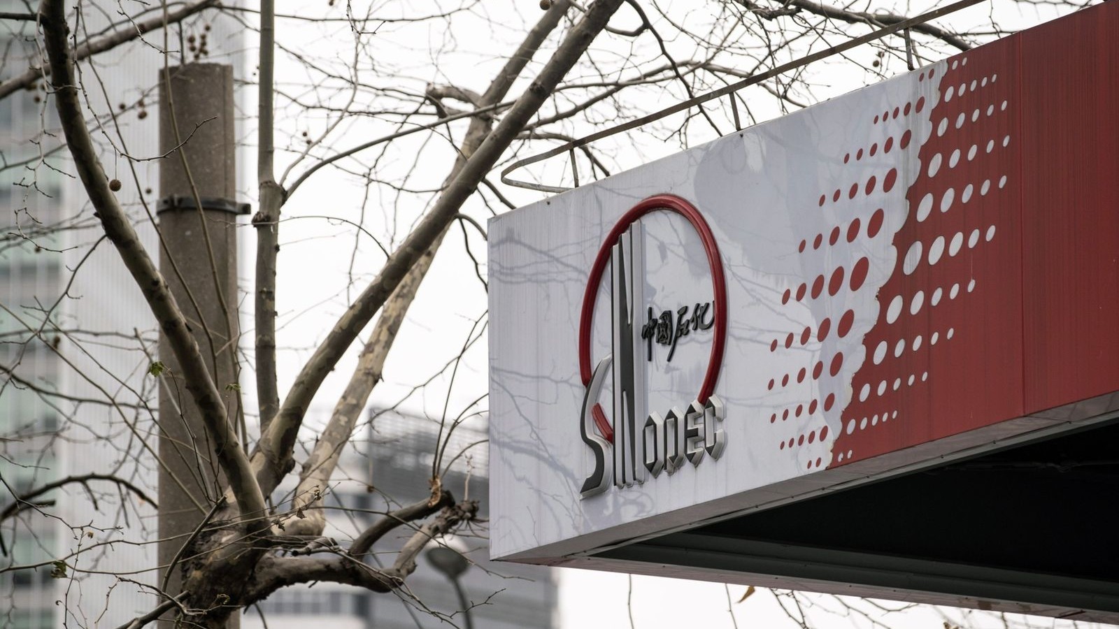 أرباح quot;سينوبكquot; الصينية ترتفع 12% بدعم من صعود النفط 