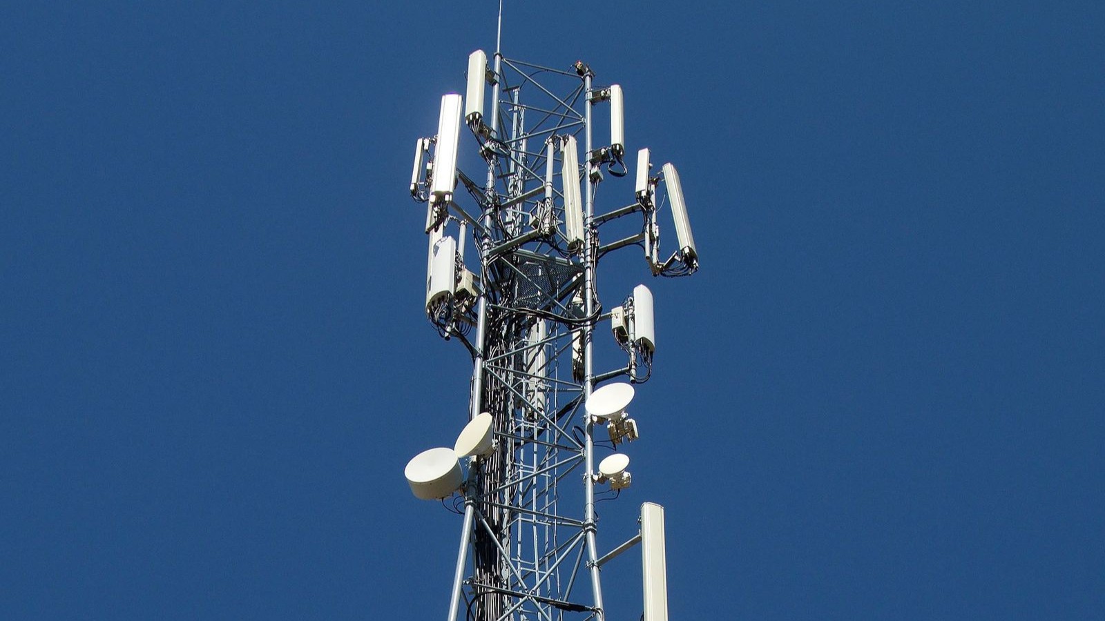 quot;&equot; الإماراتية تطور شبكاتها لتلبية التوسع في استخدام الذكاء الاصطناعي 