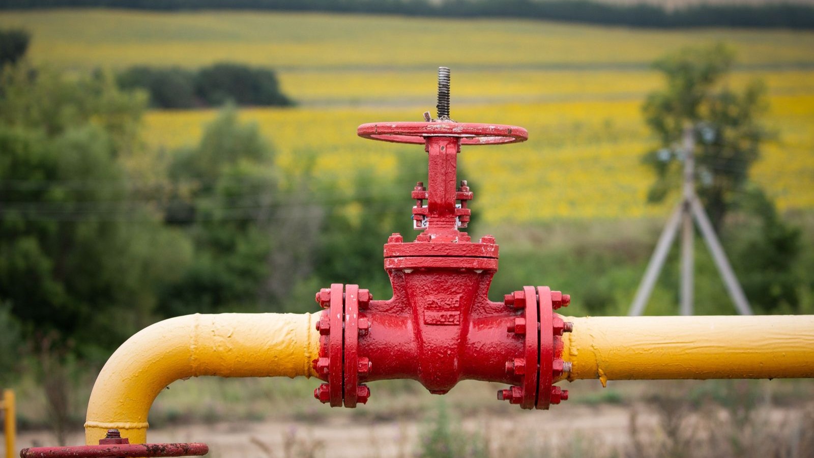 quot;بريدا إنرجياquot; الإيطالية تضخ 50 مليون دولار للتوسع بتصنيع معدات النفط في مصر 