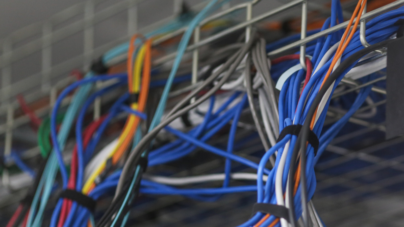 شراكة بين quot;OpenAIquot; وquot;تاتا غروبquot; لتطوير بنية الذكاء الاصطناعي في الهند 