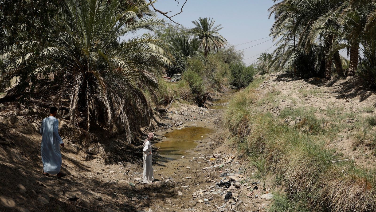 العراق يلجأ إلى quot;فاوquot; لمكافحة التصحر وفقر المياه 