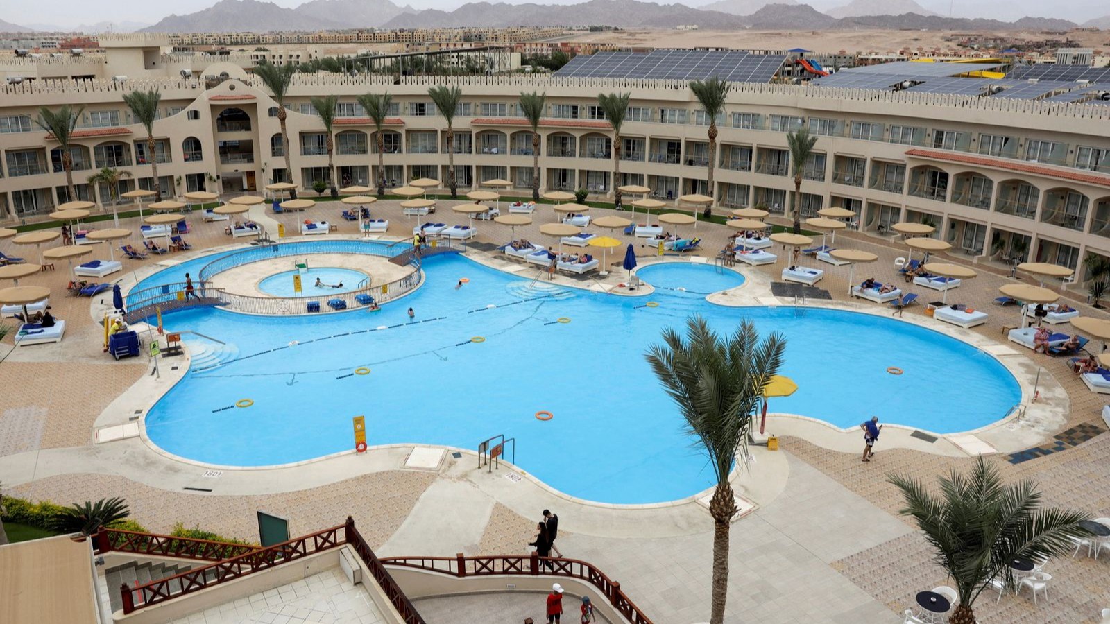 quot;بيك الباتروسquot; المصرية تستثمر 200 مليون دولار خلال 2026 