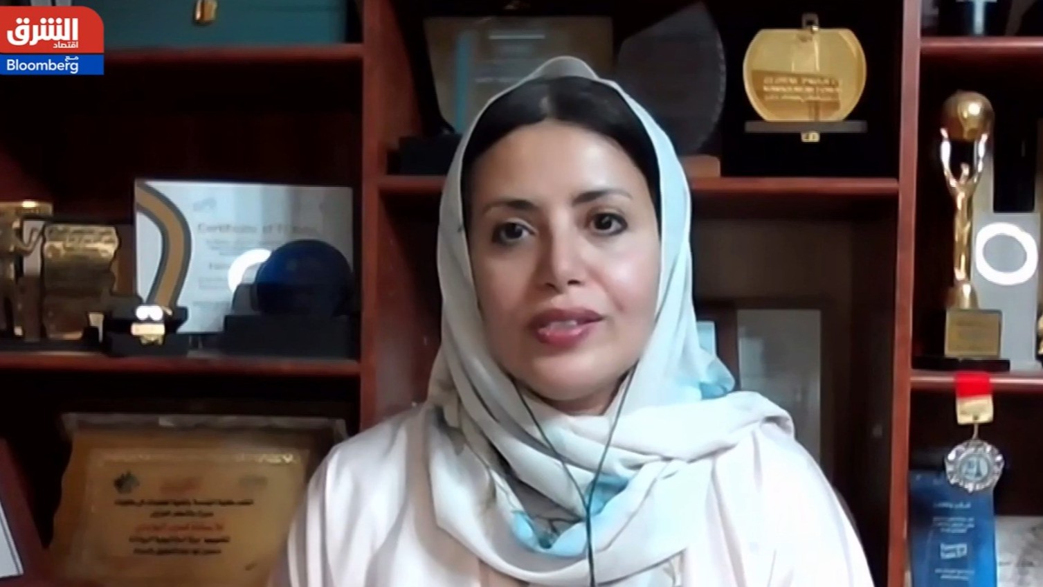 خبيرة: هذه أهداف السيادي السعودي للاستثمار بالطاقة المتجددة 