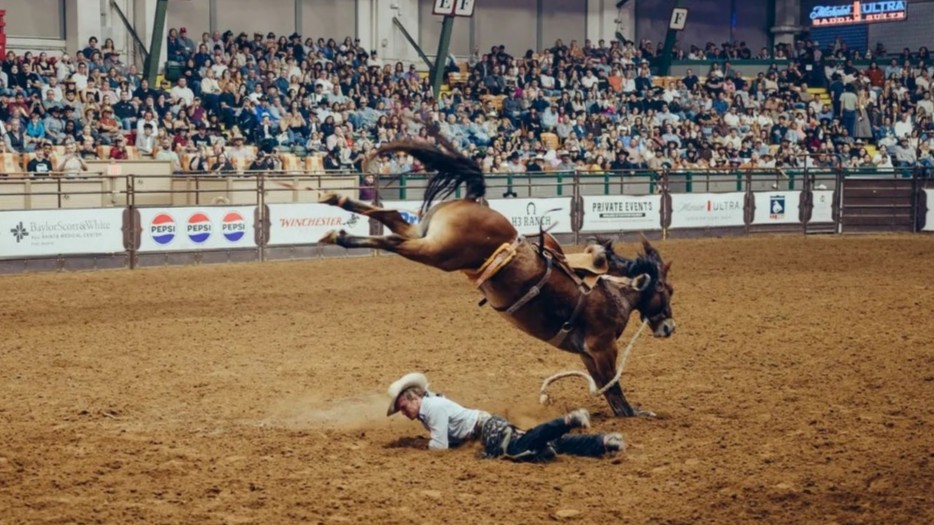 تكساس أسطورة الغرب الأميركي التي أرادت يوماً أن تعلن استقلالها 