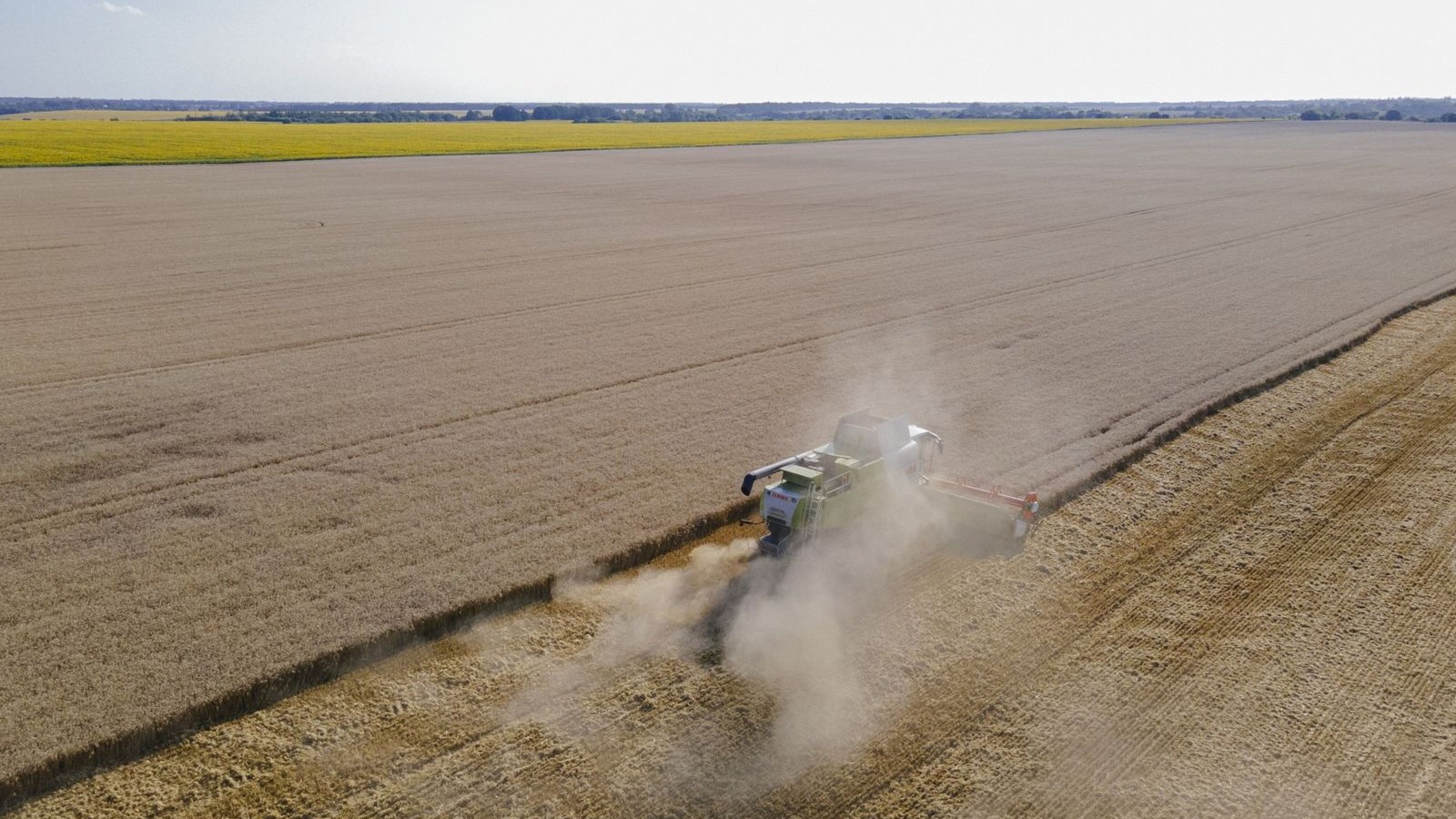 أزمة البحر الأسود ترفع حرارة أسواق القمح من جديد 