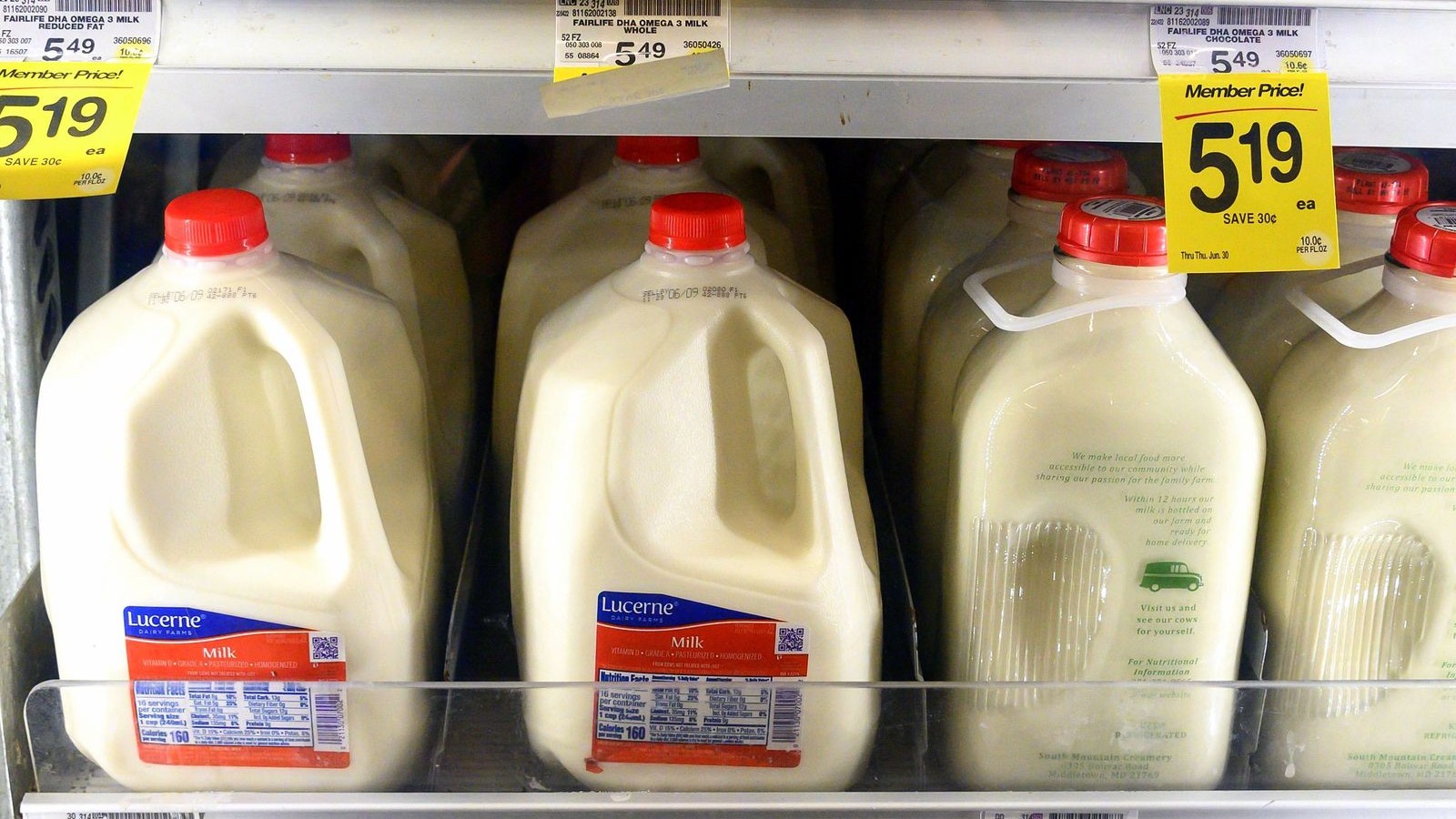 الصين تفرض رسوماً 43% على واردات الألبان الأوروبية بسبب الدعم 