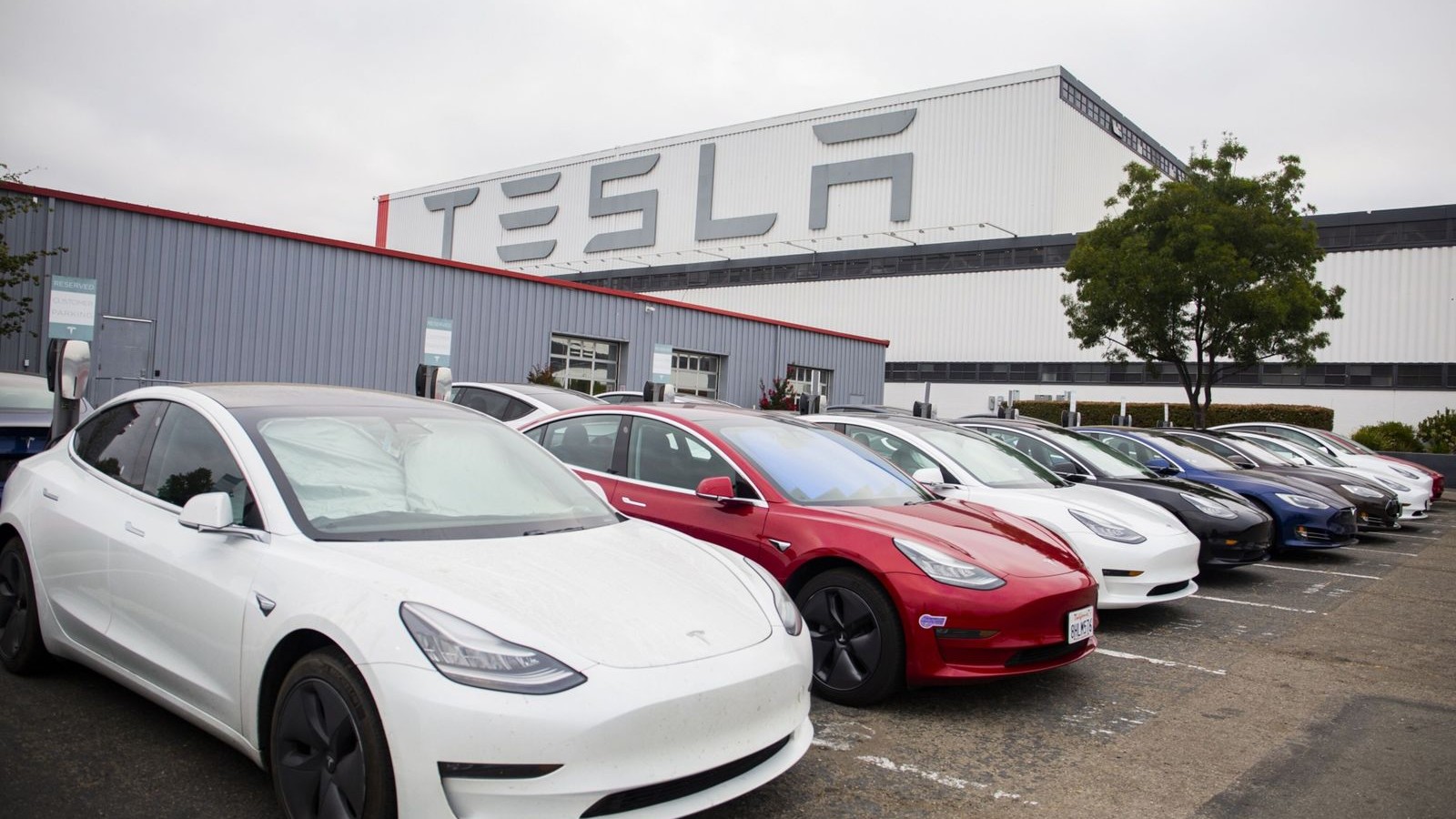 quot;تسلاquot; تستأنف مشروع quot;دوجو 3quot; مع تقدم تصميم شريحة الذكاء الاصطناعي 