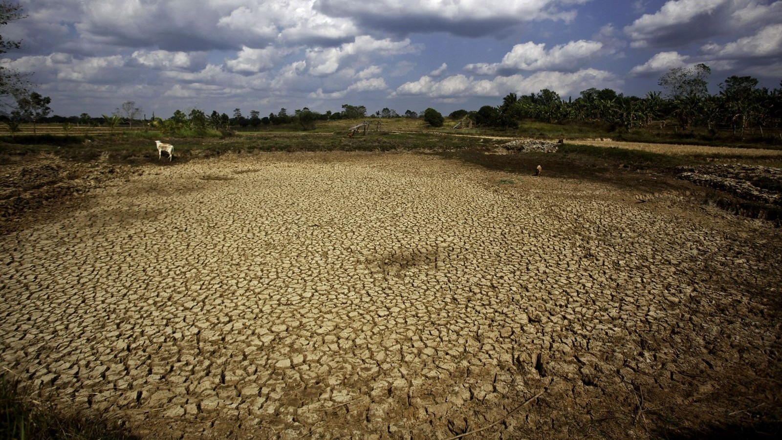 لماذا باتت طهران مهددة بالعطش؟ 