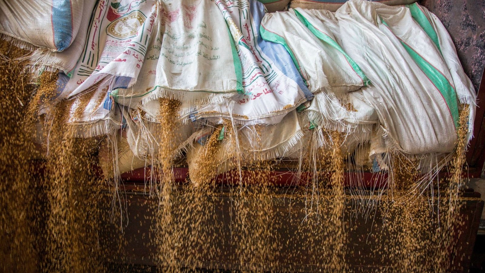 مصر تتحوط من اضطرابات القمح الروسي وتتحرك لتأمين الإمدادات بمناشئ جديدة 