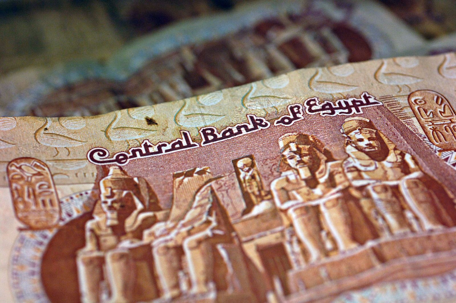الجنيه المصري يهبط لأدنى مستوى على الإطلاق مقابل الدولار 