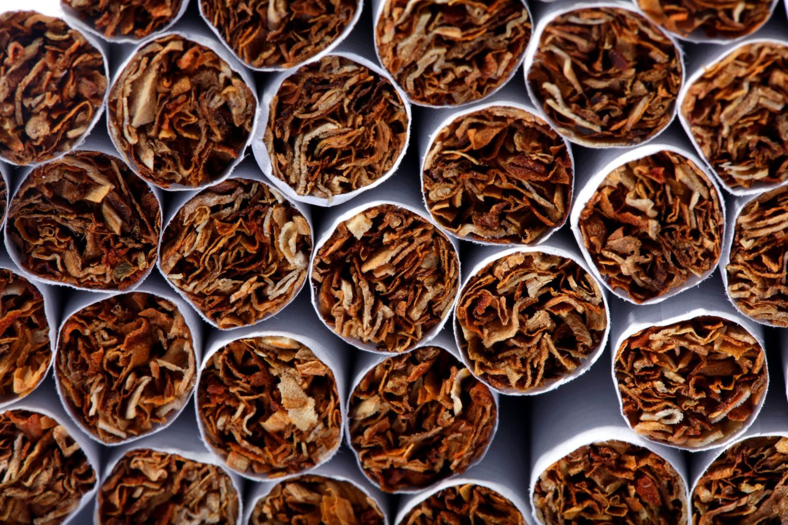 انسحاب 3 شركات من مزايدة رخصة إنتاج السجائر في مصر