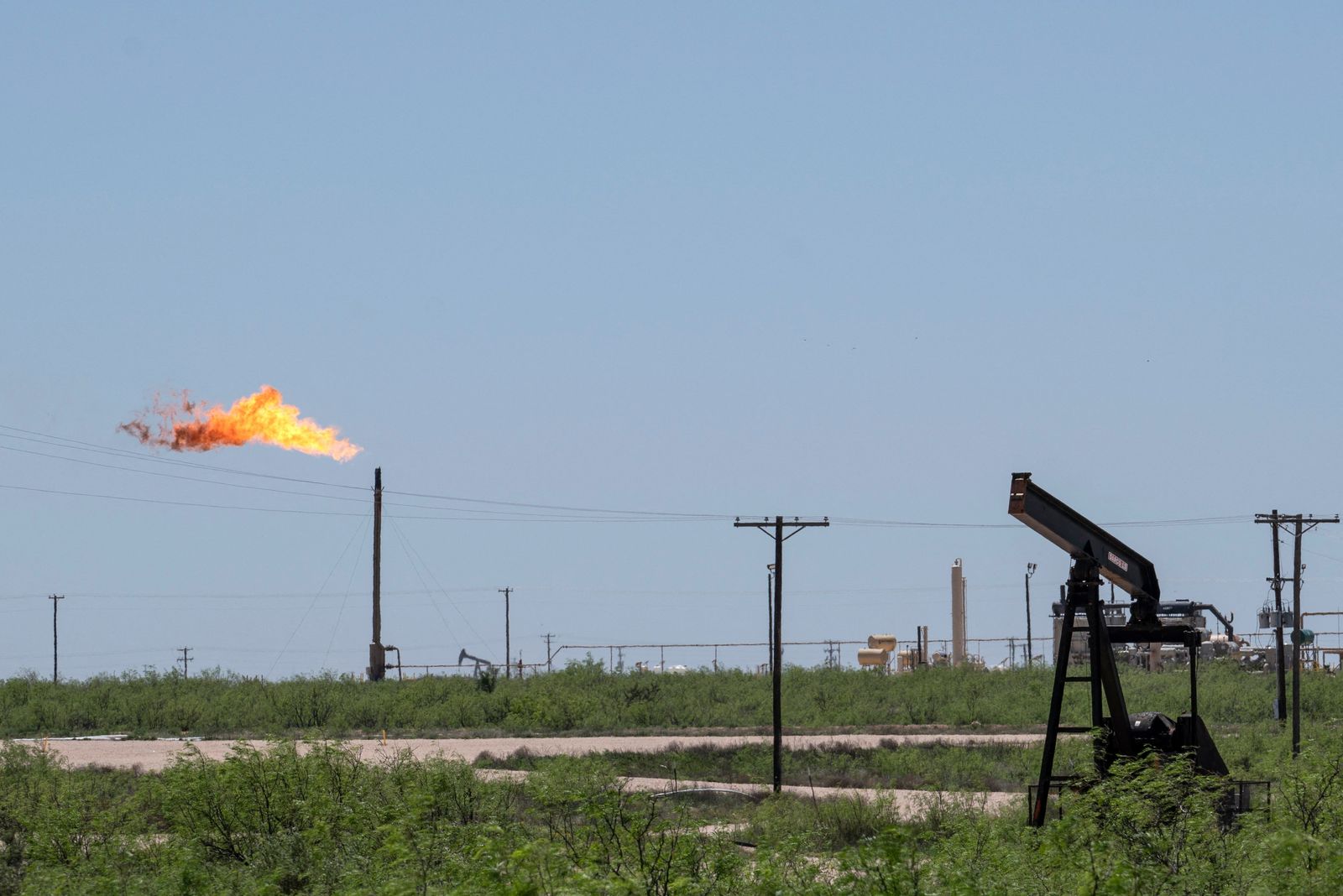 خافير بلاس: شركات النفط الكبرى يجب ألا تقود التحول إلى الطاقة الخضراء
