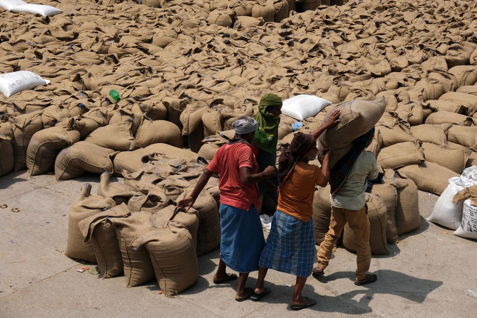 وزير: إعفاء مصر من حظر تصدير القمح الهندي