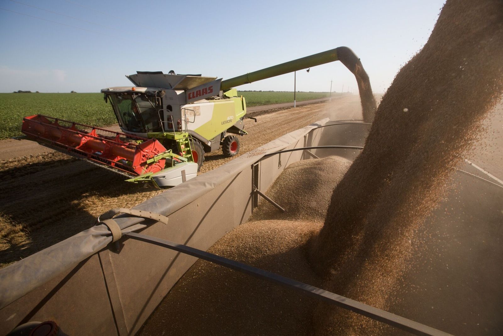 أسعار القمح عند أعلى مستوياتها بـ9 أشهر بفعل مخاوف نقص المعروض