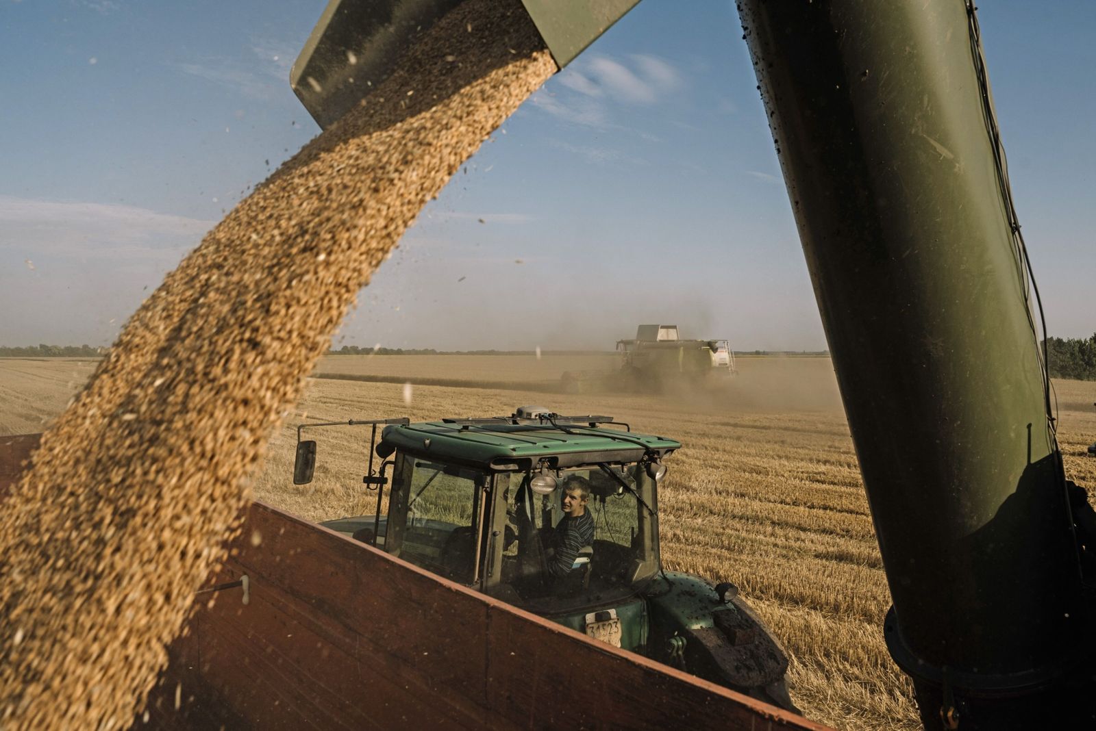 أوكرانيا تشدد التدقيق على صادرات الحبوب لتعزيز الإيرادات