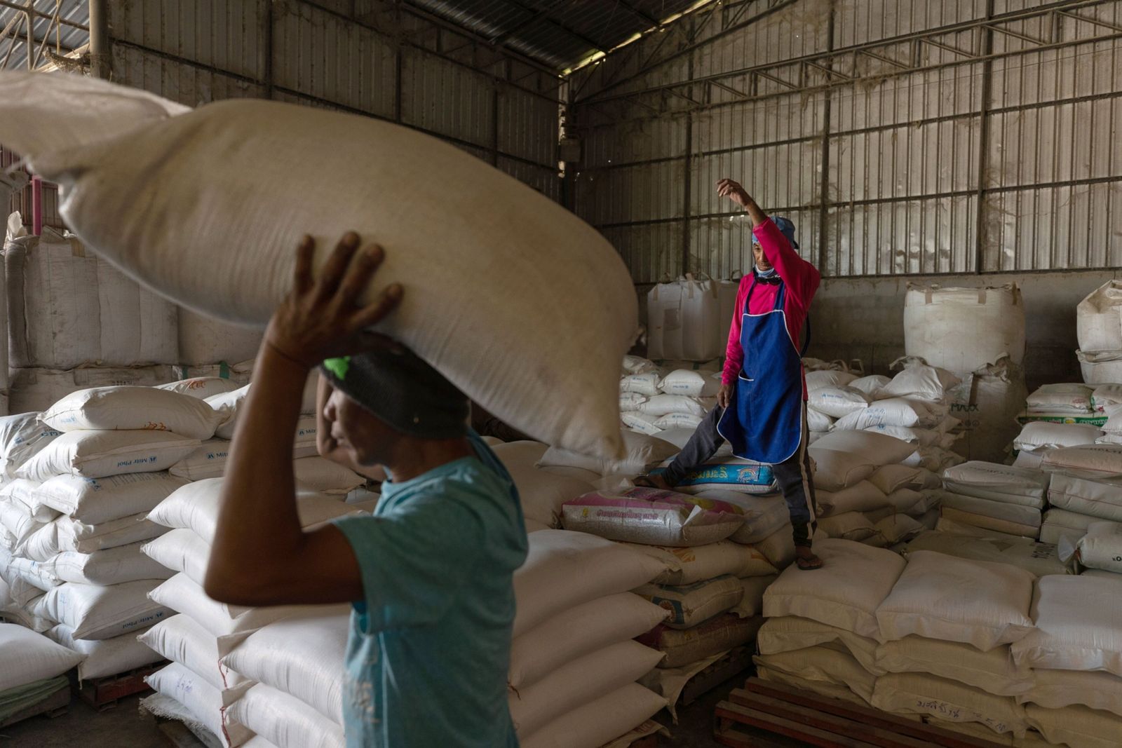 أسعار الأرز تواصل الارتفاع وسط قيود الهند وشح الإمدادات
