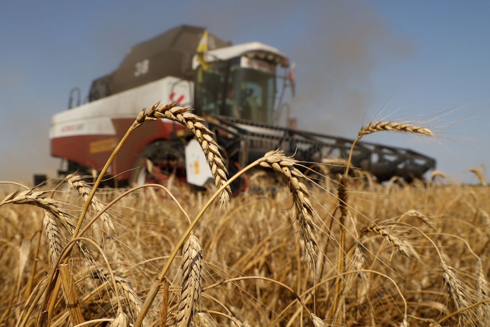 تونس: مخزون الحبوب يكفي حتى يونيو ولن نواجه نقصاً بسبب أزمة أوكرانيا
