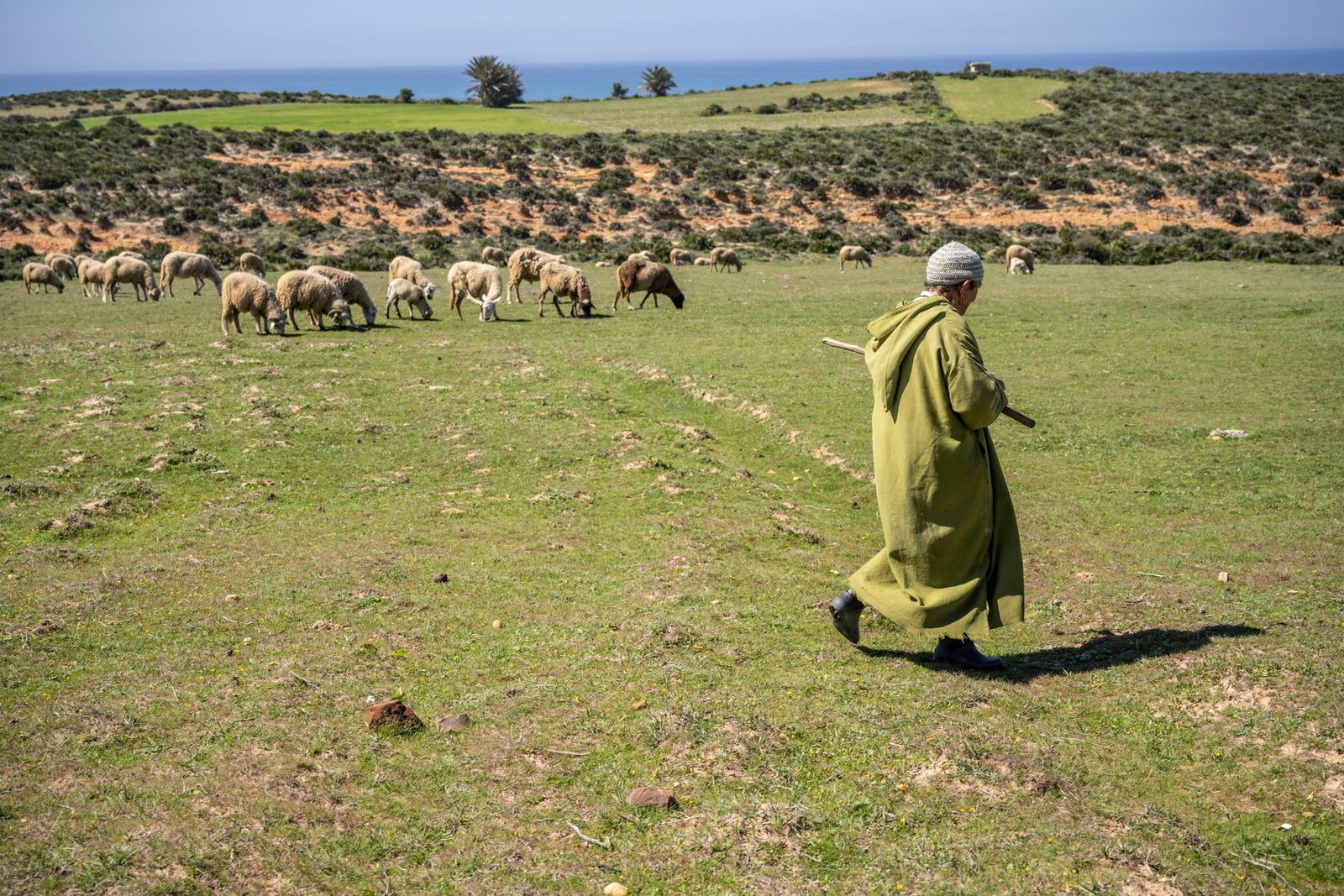 المغرب يخفض توقعات النمو في 2024 وسط استمرار تداعيات كورونا