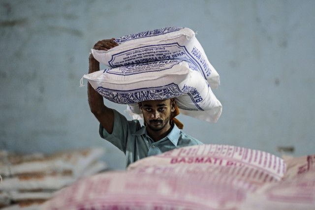 أسعار الأرز تقفز إلى أعلى مستوياتها في 3 أعوام بعد حظر الهند