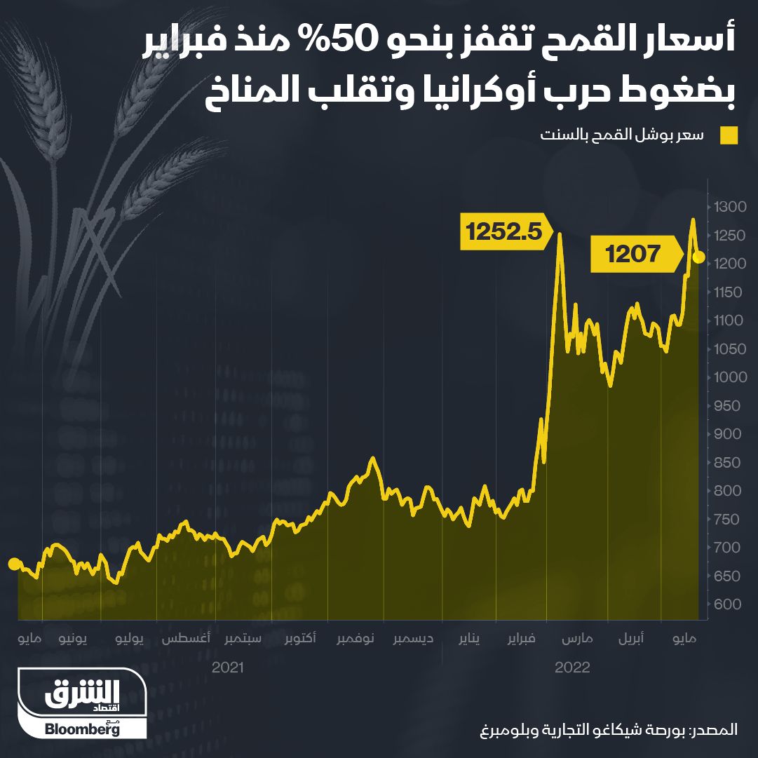 إنفوغراف: أسعار القمح تقفز 50% منذ فبراير