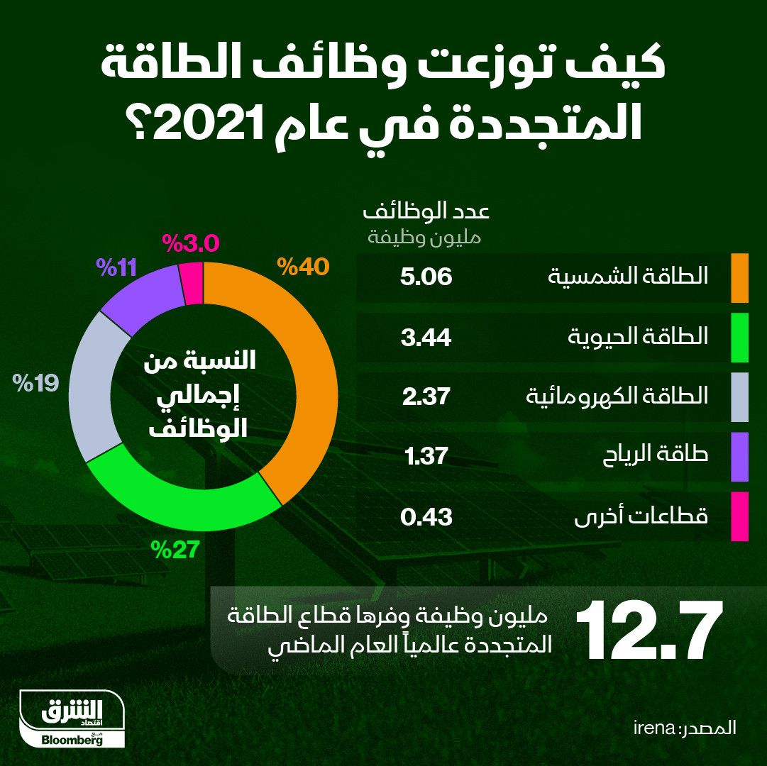 إنفوغراف.. قطاعات الطاقة المتجددة الأكثر توظيفاً