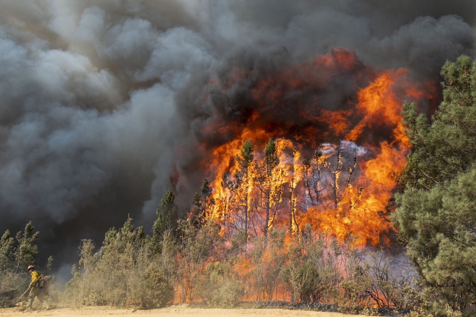 ظواهر مناخية نادرة... الحرائق والحرارة المرتفعة تسود غرب كندا