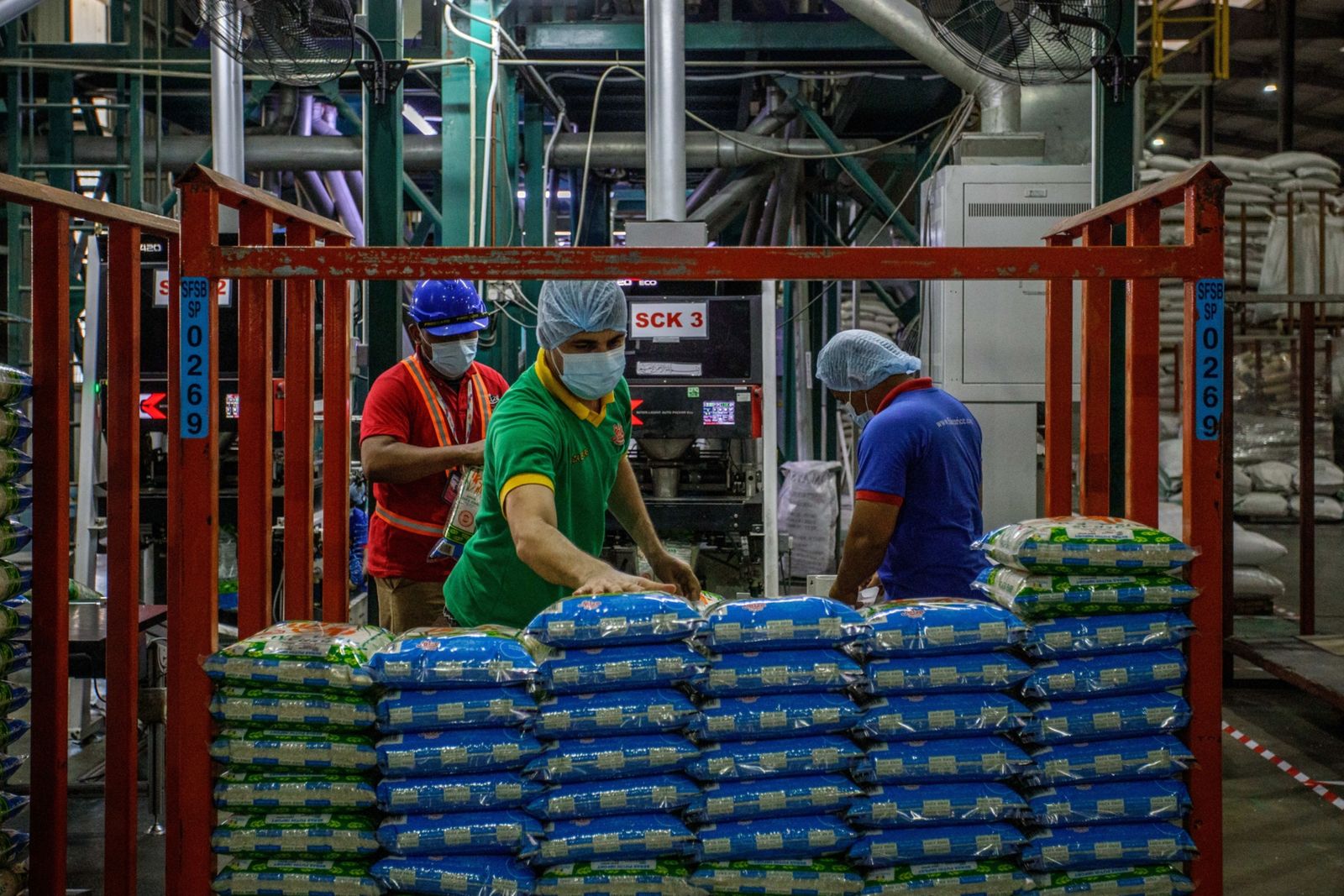 أسعار الأرز تهوي مع سعي ماليزيا لخفض وارداتها