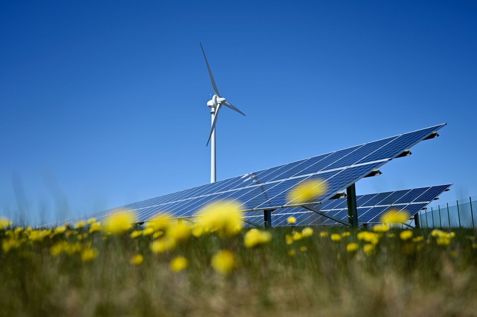 تقرير: الطاقة النظيفة تستحوذ على 61% من استثمارات القطاع في 2023