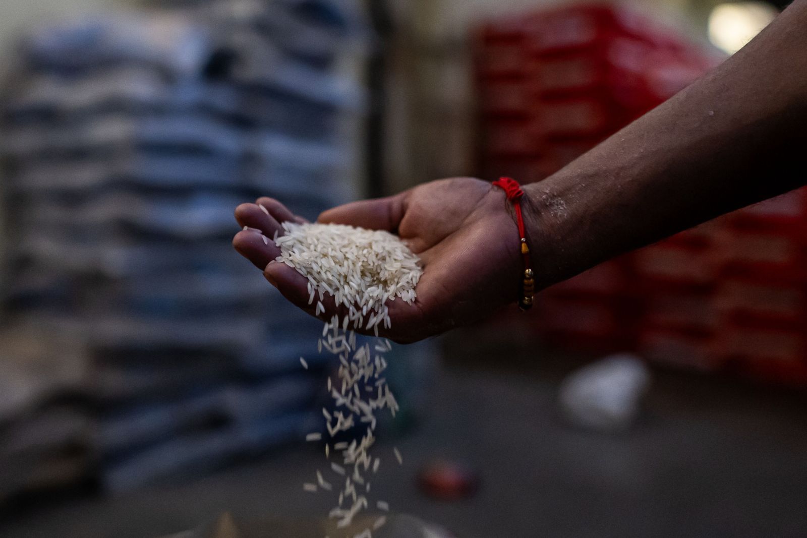 ارتفاع أسعار الأرز يثير القلق من عودة أزمة أسعار الغذاء 