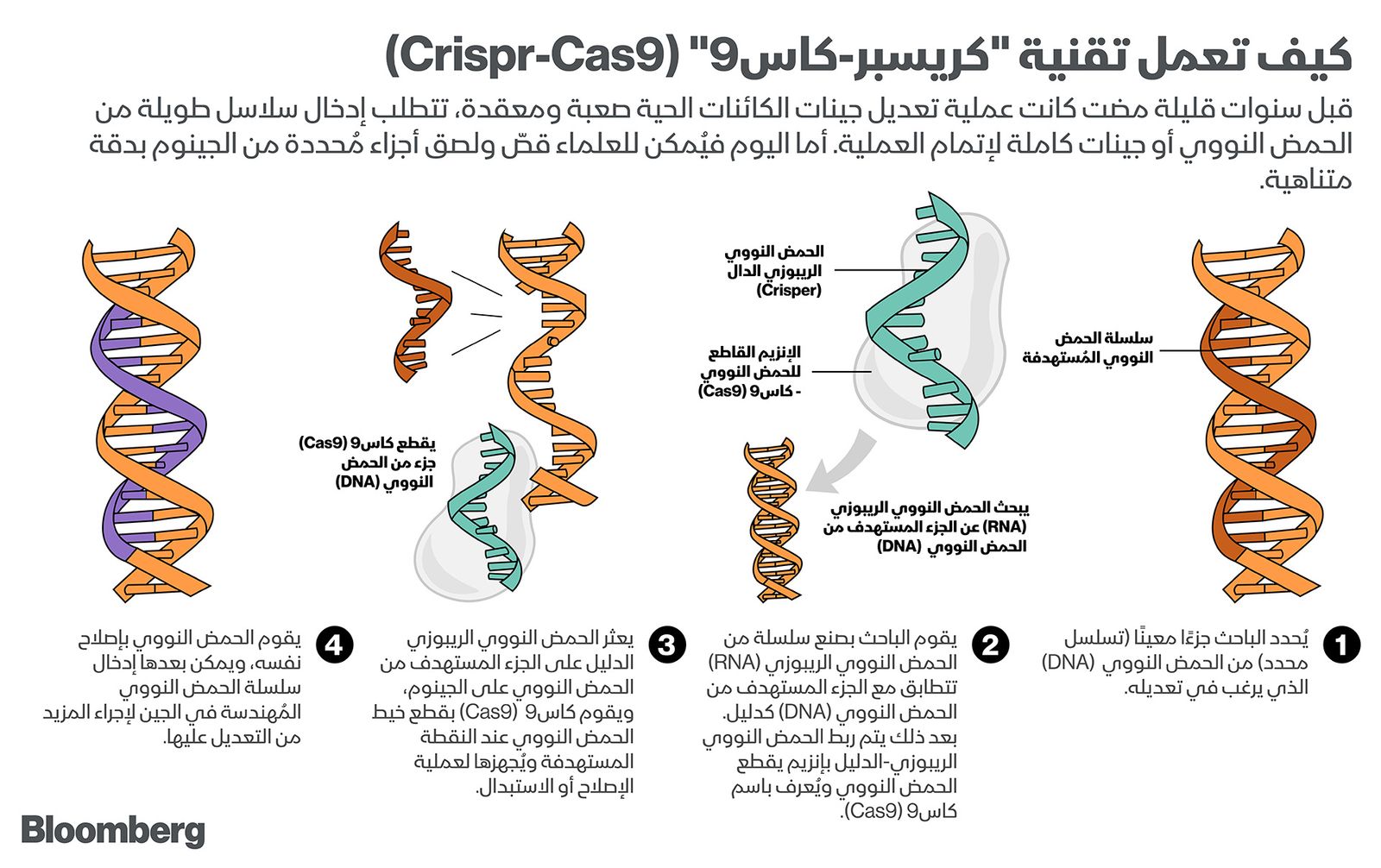 "><figcaption style="font-style: normal; text-align: right; direction: rtl;