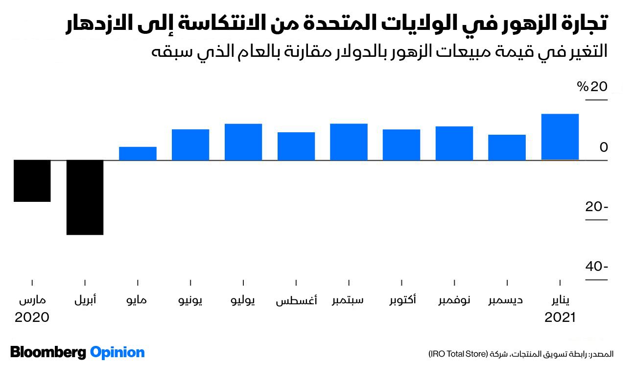 المصدر: بلومبرغ