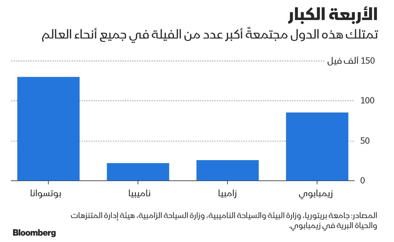 المصدر: بلومبرغ