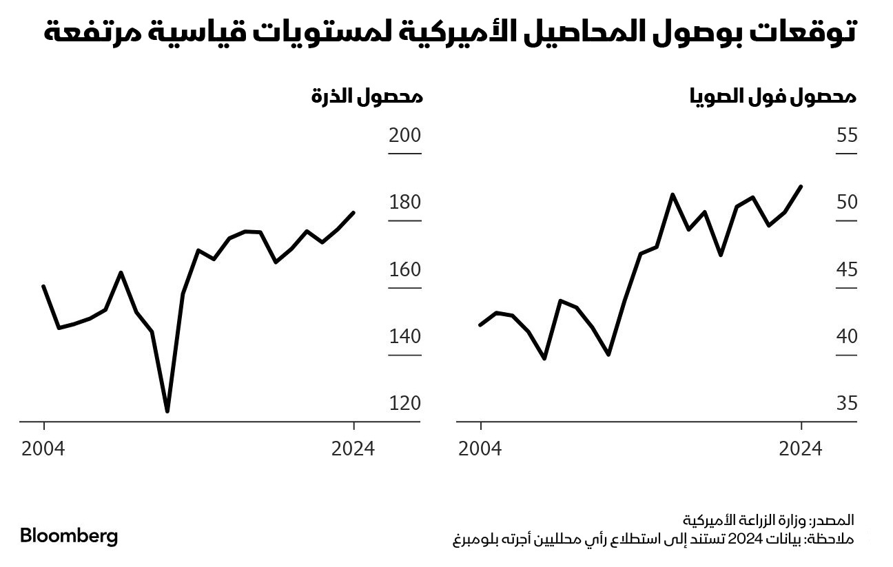 يتوقع التجار أن ترفع الوزارة تقديراتها في المتوسط بعدما سجلت رقماً قياسياً بالفعل لإنتاج أكبر محصولين زراعيين في أميركا